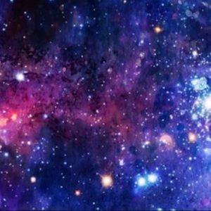 Meet your Posher, Ava